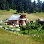 Tolem